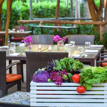 Hilton Palace Hotel 4*