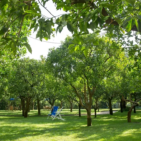 Hotel Hilton Palace Sorrento