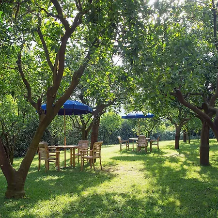 Ξενοδοχείο Hilton Palace 4*
