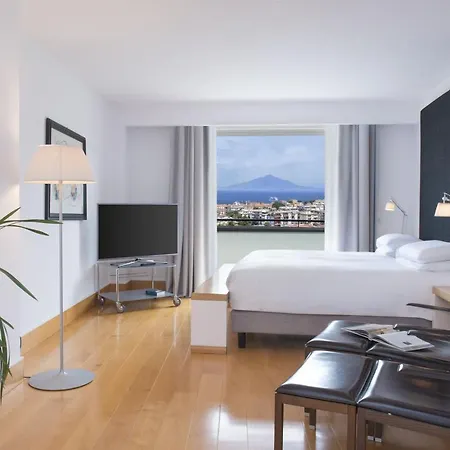 Hotel Hilton Palace 4*